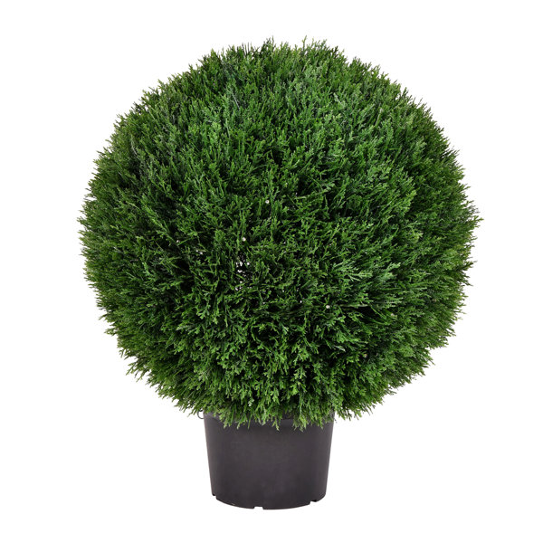 Vickerman Artificial Green Cedar Ball & Reviews Wayfair